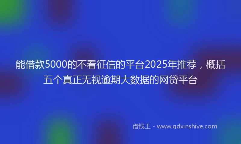 能借款5000的不看征信的平台2025年推荐，概括五个真正无视逾期大数据的网贷平台