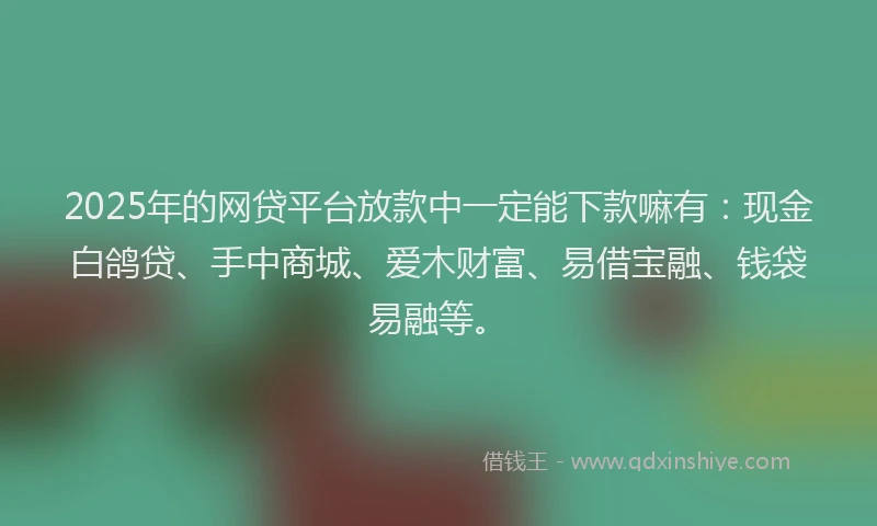 2025年的网贷平台放款中一定能下款嘛有：现金白鸽贷、手中商城、爱木财富、易借宝融、钱袋易融等。