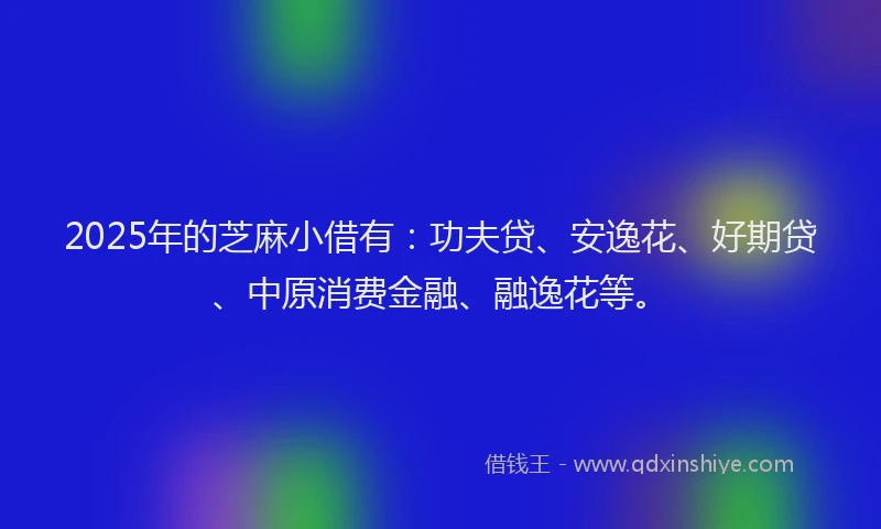 2025年的芝麻小借有：功夫贷、安逸花、好期贷、中原消费金融、融逸花等。