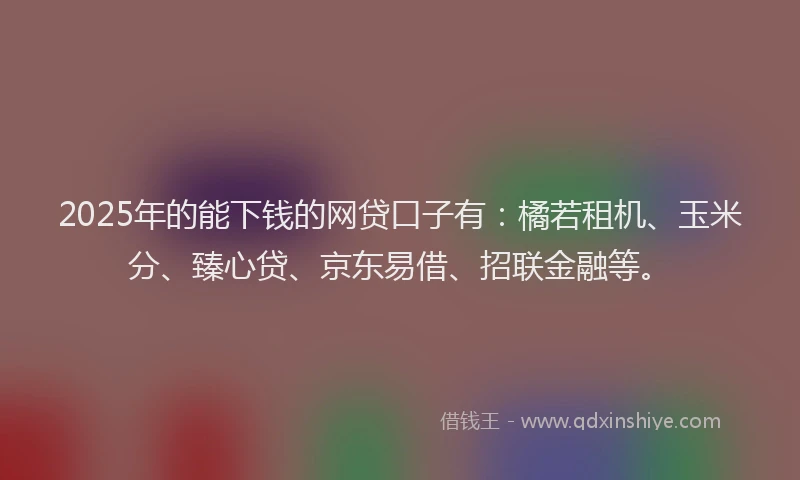 2025年的能下钱的网贷口子有：橘若租机、玉米分、臻心贷、京东易借、招联金融等。