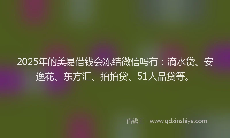 2025年的美易借钱会冻结微信吗有：滴水贷、安逸花、东方汇、拍拍贷、51人品贷等。