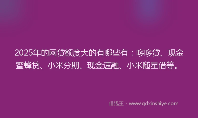 2025年的网贷额度大的有哪些有：哆哆贷、现金蜜蜂贷、小米分期、现金速融、小米随星借等。