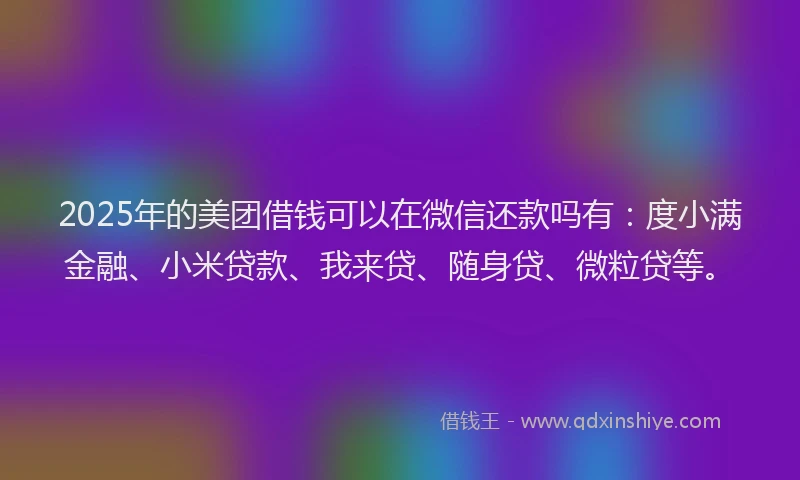 2025年的美团借钱可以在微信还款吗有：度小满金融、小米贷款、我来贷、随身贷、微粒贷等。