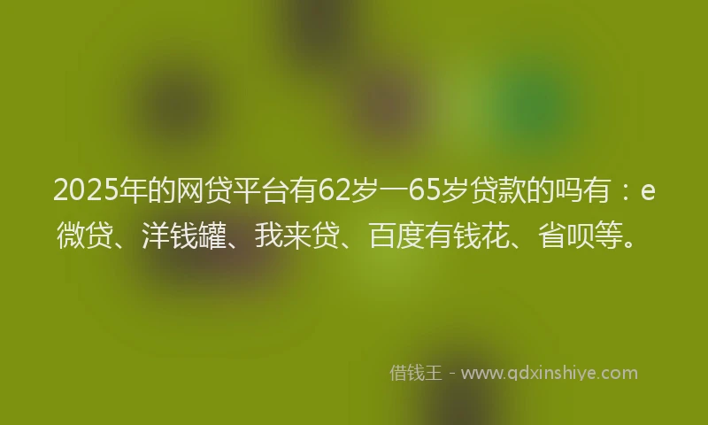 2025年的网贷平台有62岁一65岁贷款的吗有：e微贷、洋钱罐、我来贷、百度有钱花、省呗等。