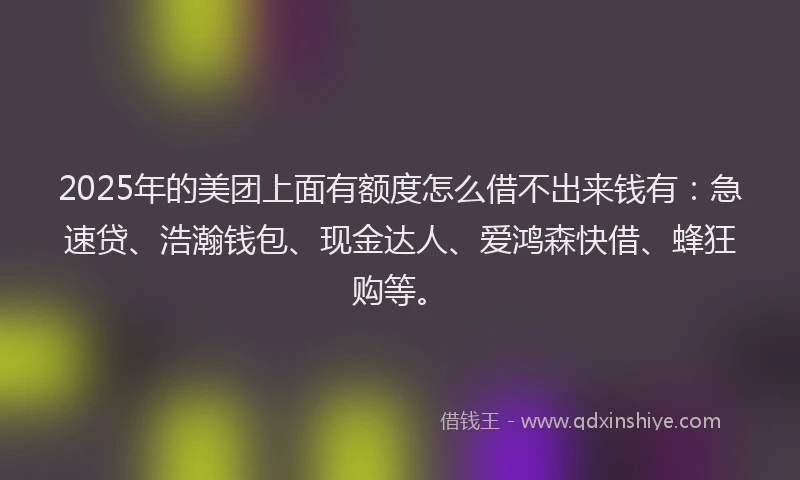 2025年的美团上面有额度怎么借不出来钱有：急速贷、浩瀚钱包、现金达人、爱鸿森快借、蜂狂购等。