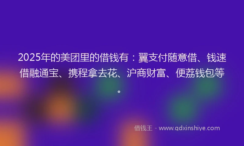 2025年的美团里的借钱有：翼支付随意借、钱速借融通宝、携程拿去花、沪商财富、便荔钱包等。