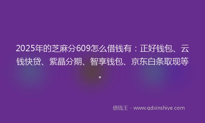 2025年的芝麻分609怎么借钱有：正好钱包、云钱快贷、紫晶分期、智享钱包、京东白条取现等。