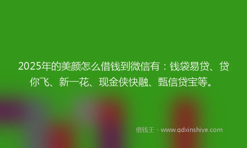 2025年的美颜怎么借钱到微信有：钱袋易贷、贷你飞、新一花、现金侠快融、甄信贷宝等。