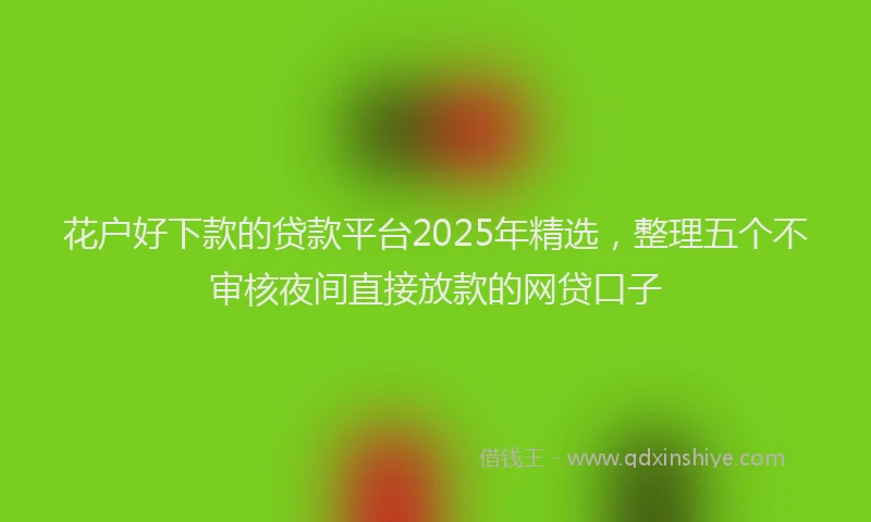 花户好下款的贷款平台2025年精选，整理五个不审核夜间直接放款的网贷口子