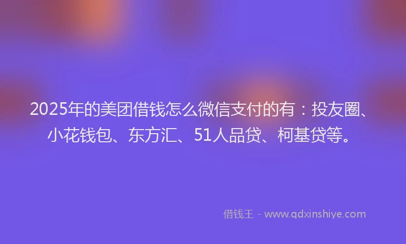 2025年的美团借钱怎么微信支付的有：投友圈、小花钱包、东方汇、51人品贷、柯基贷等。