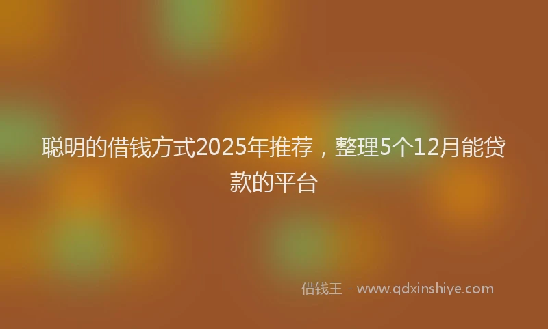 聪明的借钱方式2025年推荐，整理5个12月能贷款的平台