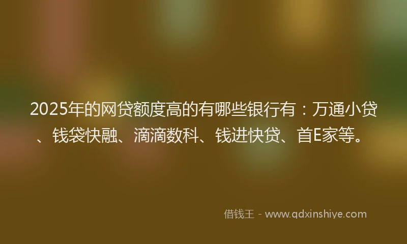 2025年的网贷额度高的有哪些银行有：万通小贷、钱袋快融、滴滴数科、钱进快贷、首E家等。