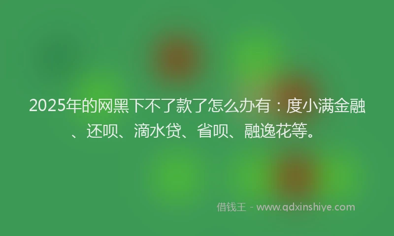 2025年的网黑下不了款了怎么办有：度小满金融、还呗、滴水贷、省呗、融逸花等。