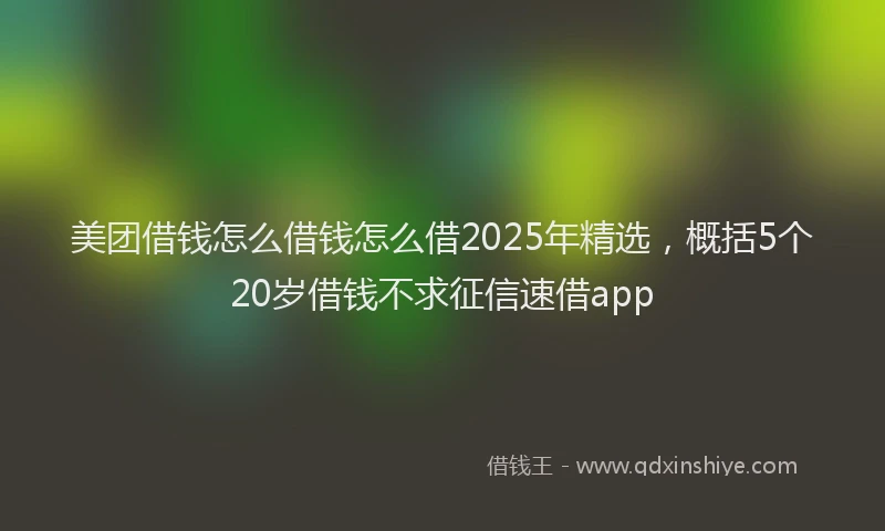 美团借钱怎么借钱怎么借2025年精选，概括5个20岁借钱不求征信速借app