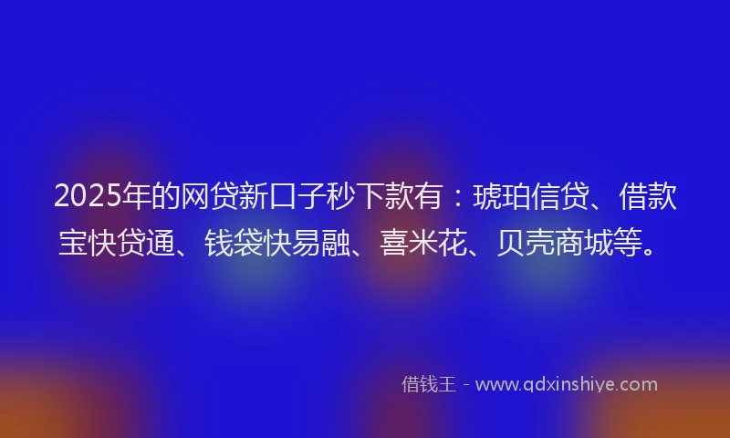 2025年的网贷新口子秒下款有：琥珀信贷、借款宝快贷通、钱袋快易融、喜米花、贝壳商城等。