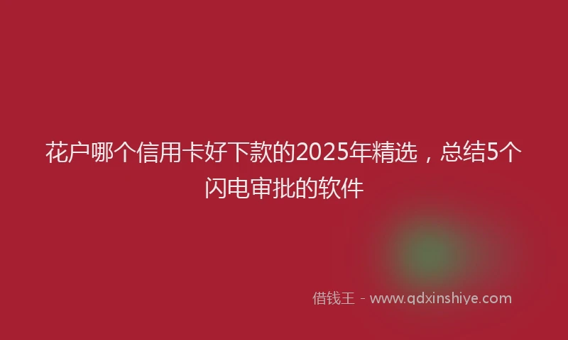 花户哪个信用卡好下款的2025年精选，总结5个闪电审批的软件
