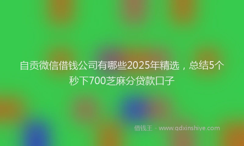 自贡微信借钱公司有哪些2025年精选，总结5个秒下700芝麻分贷款口子