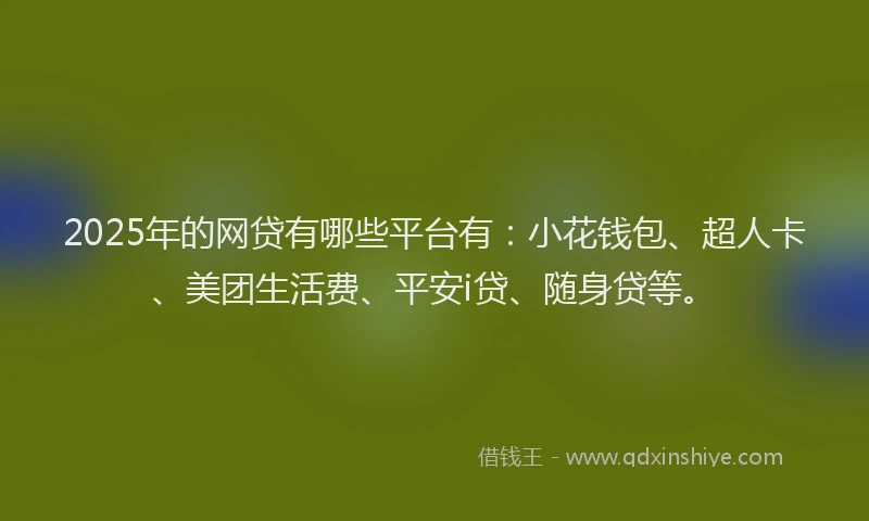 2025年的网贷有哪些平台有：小花钱包、超人卡、美团生活费、平安i贷、随身贷等。