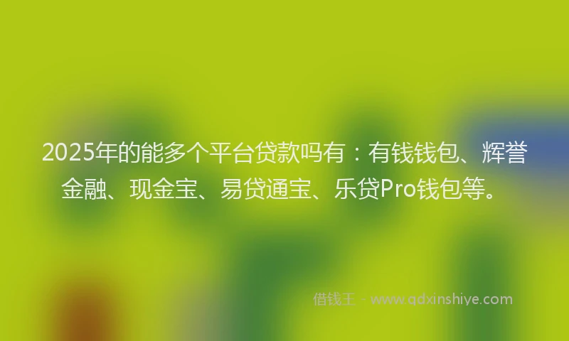 2025年的能多个平台贷款吗有：有钱钱包、辉誉金融、现金宝、易贷通宝、乐贷Pro钱包等。