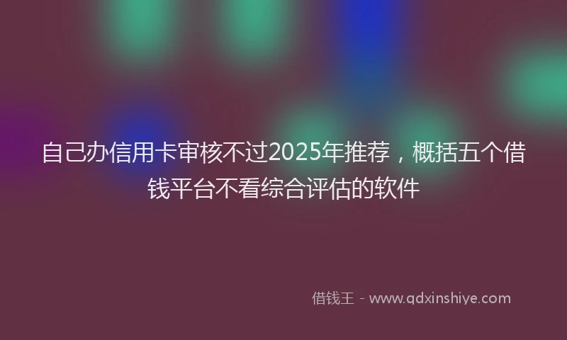 自己办信用卡审核不过2025年推荐，概括五个借钱平台不看综合评估的软件