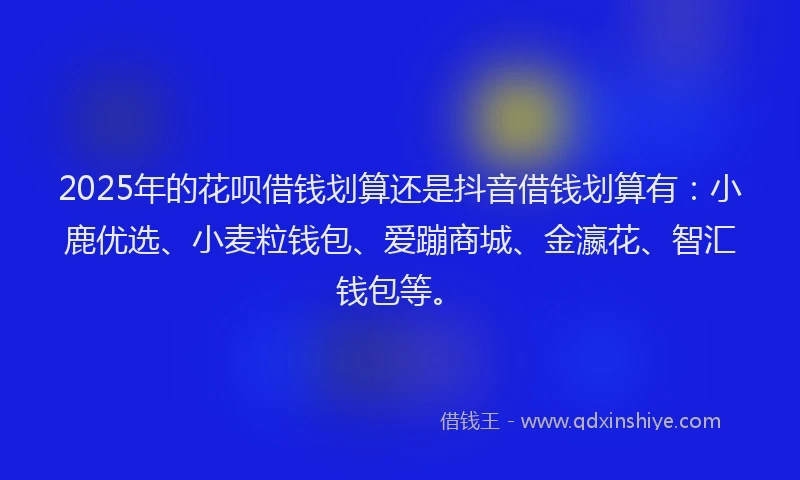 2025年的花呗借钱划算还是抖音借钱划算有：小鹿优选、小麦粒钱包、爱蹦商城、金瀛花、智汇钱包等。