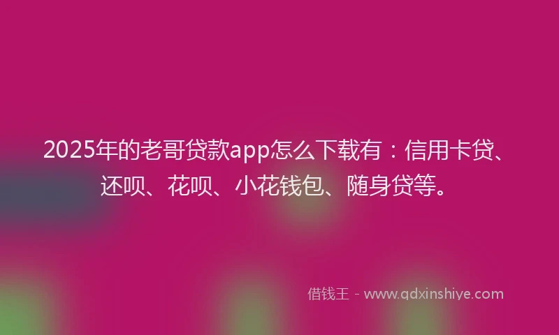 2025年的老哥贷款app怎么下载有：信用卡贷、还呗、花呗、小花钱包、随身贷等。