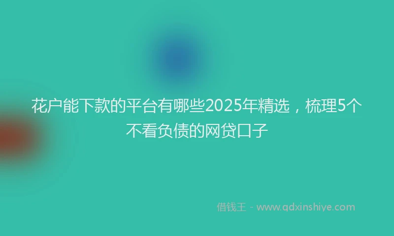 花户能下款的平台有哪些2025年精选，梳理5个不看负债的网贷口子