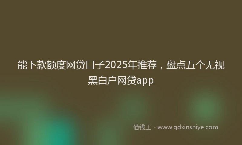 能下款额度网贷口子2025年推荐，盘点五个无视黑白户网贷app