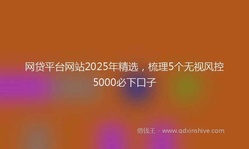 网贷平台网站2025年精选，梳理5个无视风控5000必下口子