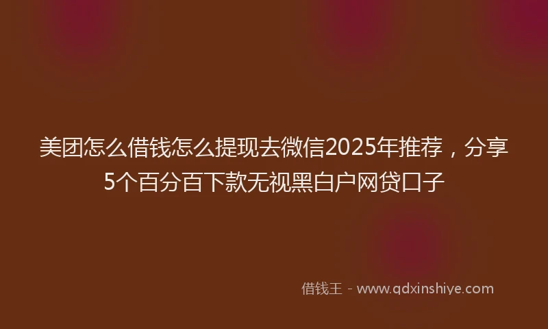 美团怎么借钱怎么提现去微信2025年推荐，分享5个百分百下款无视黑白户网贷口子