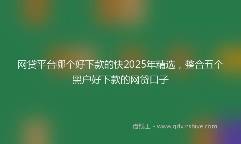 网贷平台哪个好下款的快2025年精选，整合五个黑户好下款的网贷口子