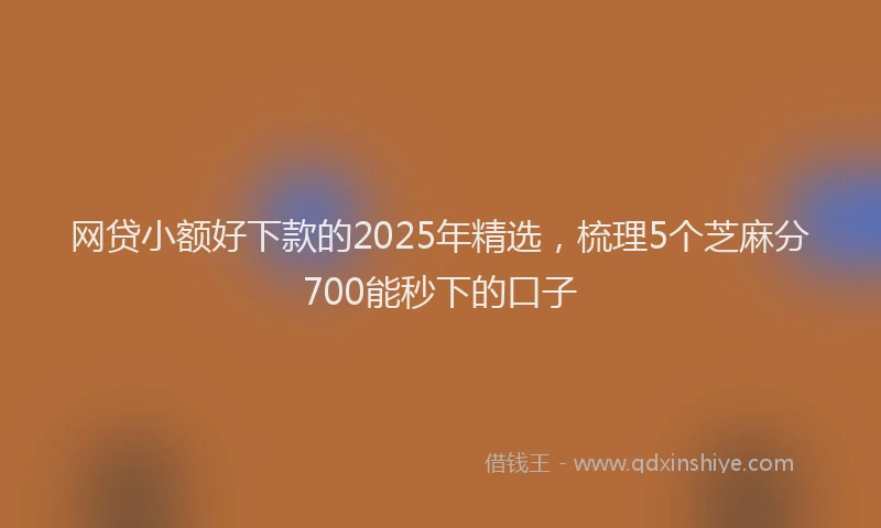 网贷小额好下款的2025年精选，梳理5个芝麻分700能秒下的口子