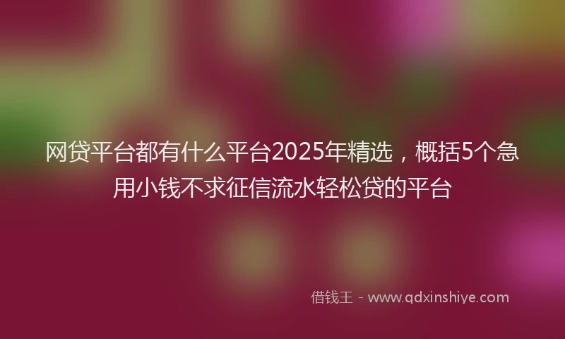 网贷平台都有什么平台2025年精选，概括5个急用小钱不求征信流水轻松贷的平台