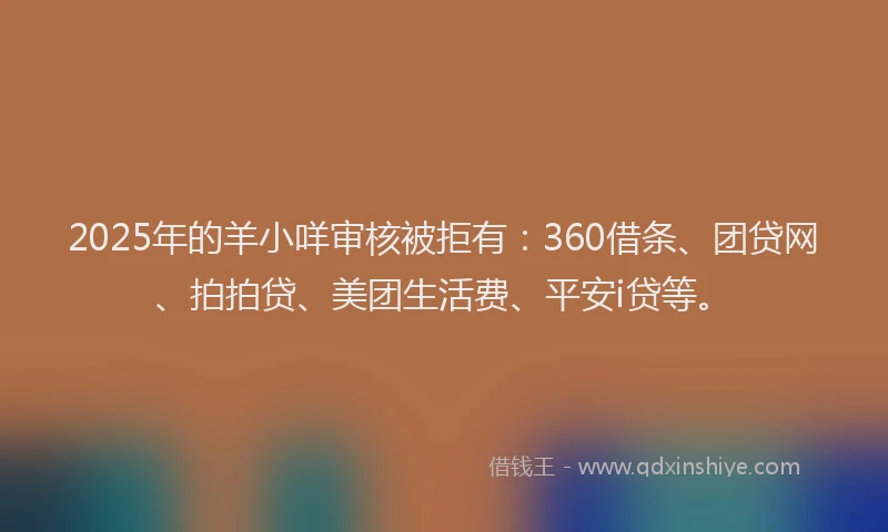 2025年的羊小咩审核被拒有：360借条、团贷网、拍拍贷、美团生活费、平安i贷等。