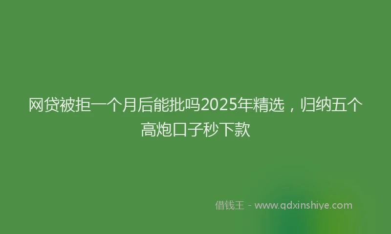 网贷被拒一个月后能批吗2025年精选，归纳五个高炮口子秒下款