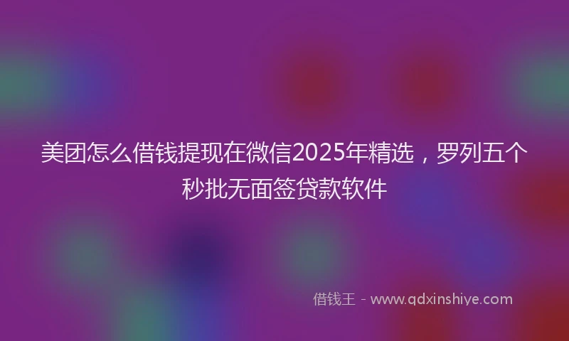 美团怎么借钱提现在微信2025年精选，罗列五个秒批无面签贷款软件