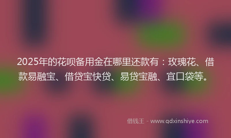 2025年的花呗备用金在哪里还款有：玫瑰花、借款易融宝、借贷宝快贷、易贷宝融、宜口袋等。