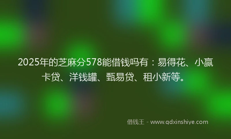 2025年的芝麻分578能借钱吗有：易得花、小赢卡贷、洋钱罐、甄易贷、租小新等。
