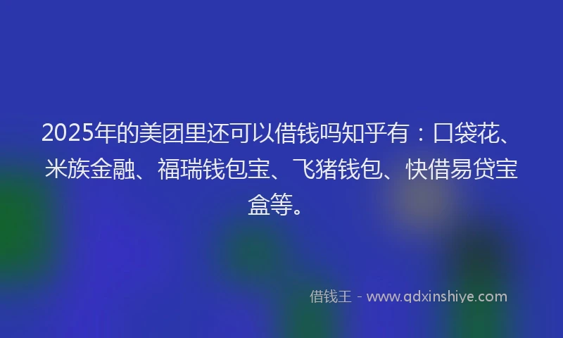 2025年的美团里还可以借钱吗知乎有：口袋花、米族金融、福瑞钱包宝、飞猪钱包、快借易贷宝盒等。