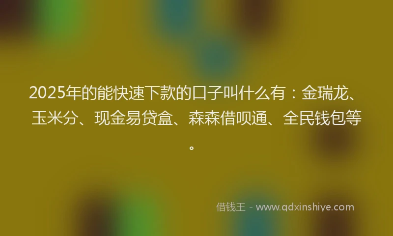 2025年的能快速下款的口子叫什么有：金瑞龙、玉米分、现金易贷盒、森森借呗通、全民钱包等。