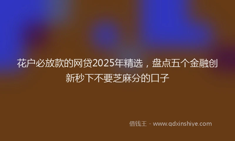 花户必放款的网贷2025年精选，盘点五个金融创新秒下不要芝麻分的口子