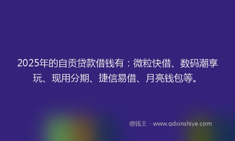 2025年的自贡贷款借钱有：微粒快借、数码潮享玩、现用分期、捷信易借、月亮钱包等。