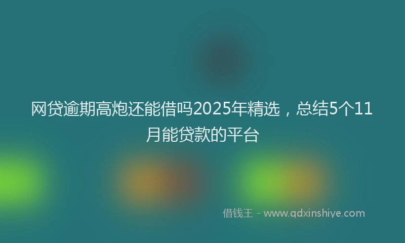 网贷逾期高炮还能借吗2025年精选，总结5个11月能贷款的平台