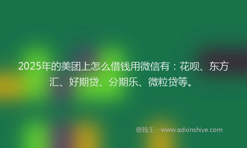 2025年的美团上怎么借钱用微信有：花呗、东方汇、好期贷、分期乐、微粒贷等。