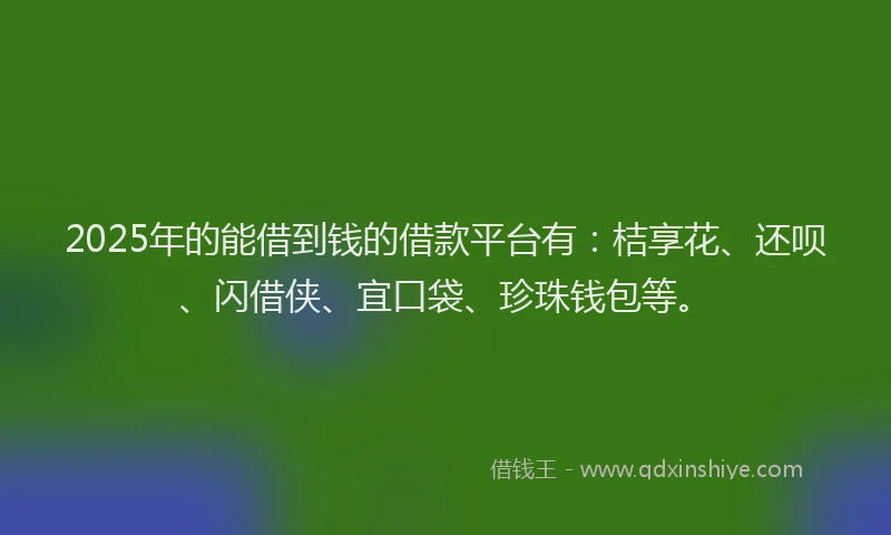 2025年的能借到钱的借款平台有：桔享花、还呗、闪借侠、宜口袋、珍珠钱包等。