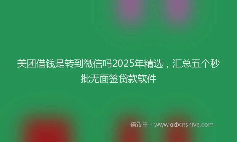 美团借钱是转到微信吗2025年精选，汇总五个秒批无面签贷款软件