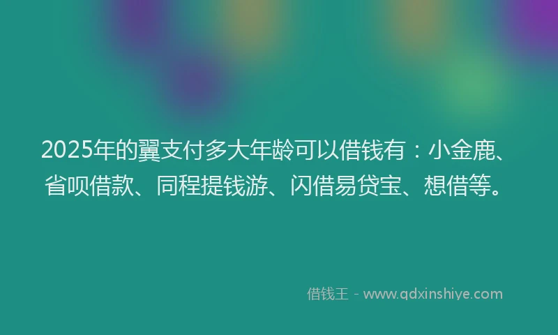 2025年的翼支付多大年龄可以借钱有：小金鹿、省呗借款、同程提钱游、闪借易贷宝、想借等。