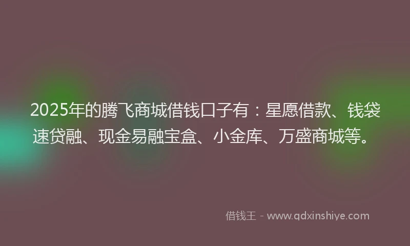 2025年的腾飞商城借钱口子有：星愿借款、钱袋速贷融、现金易融宝盒、小金库、万盛商城等。