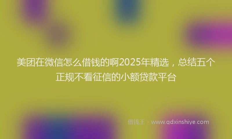美团在微信怎么借钱的啊2025年精选，总结五个正规不看征信的小额贷款平台