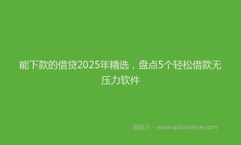 能下款的借贷2025年精选，盘点5个轻松借款无压力软件